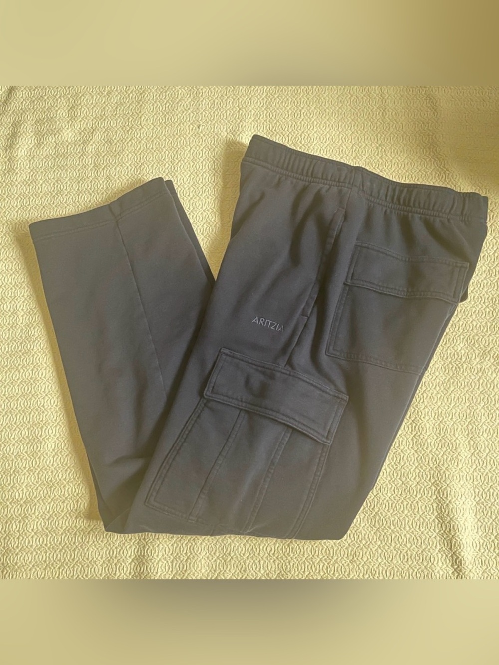 Aritzia Terry Sweatfleece Mega Cargo Sweatpant (Admiral)